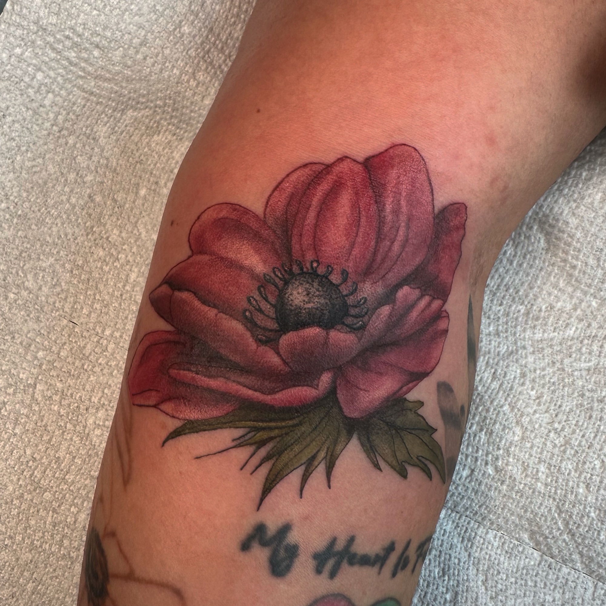 poppy, botanical, tattoo, red, colour tattoo, illustrative tattoo