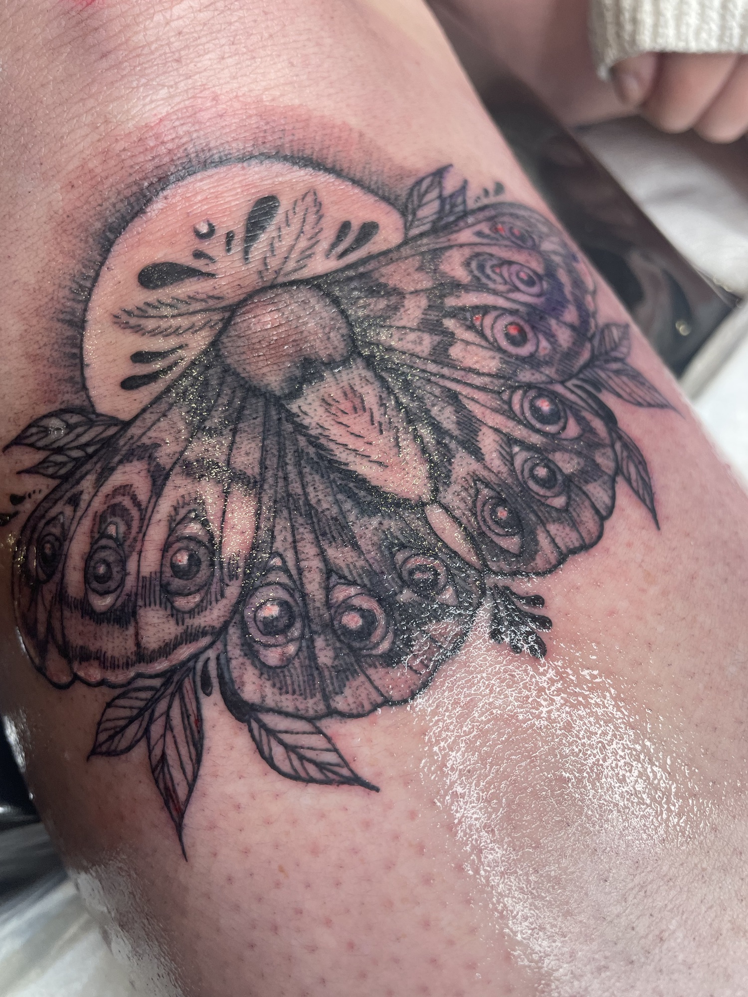 all seeing, moth, eyes, trippy, tattoo, blackwork, knee, below the knee