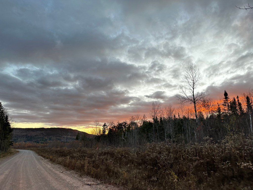 Nirvana is a Cabin in the&nbsp;Woods