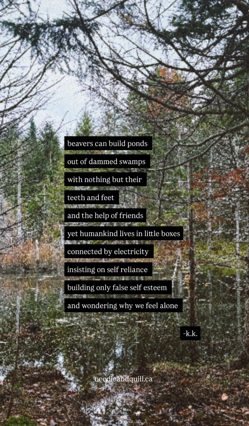 learning from a&nbsp;beaver